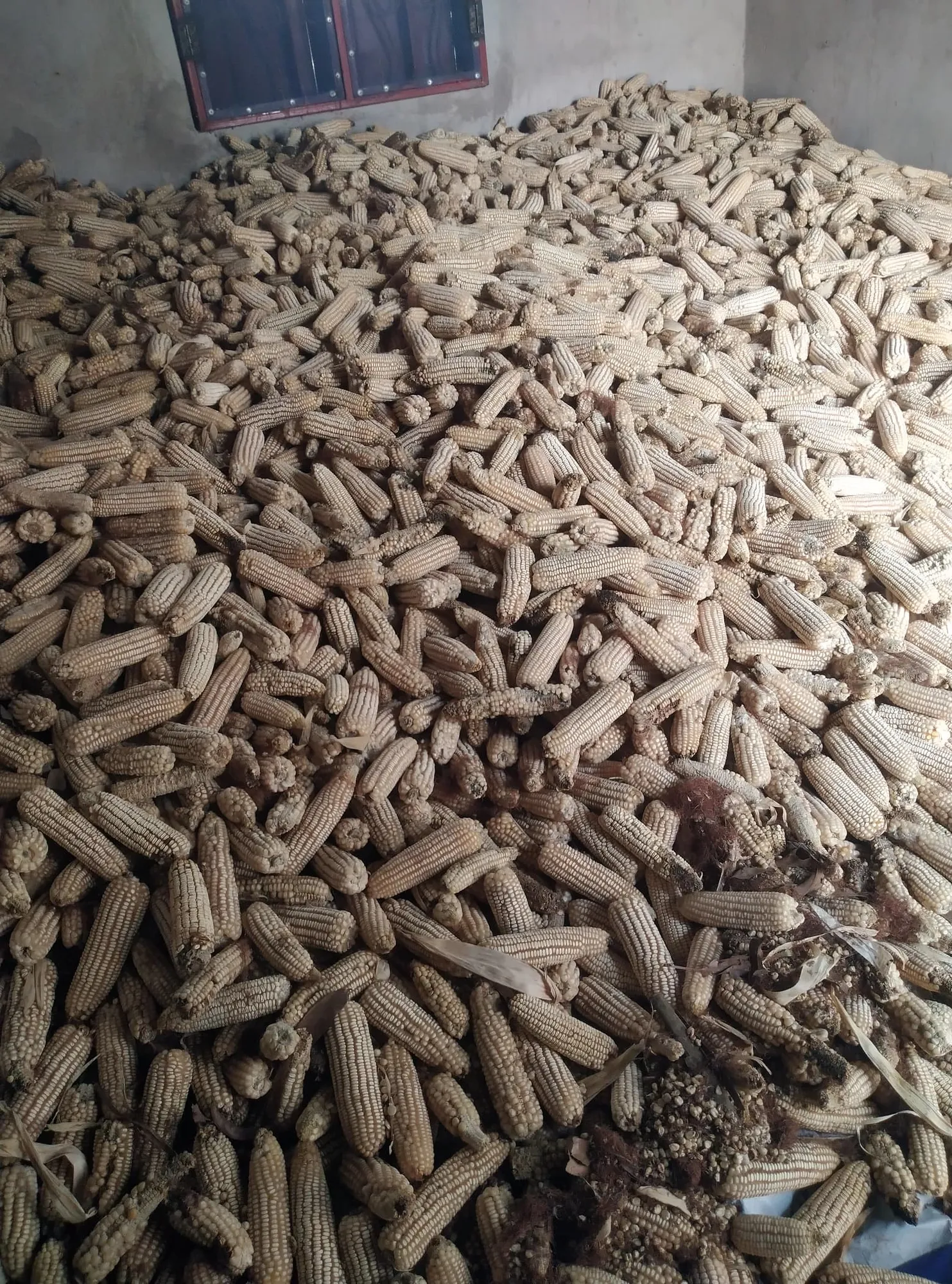Agriculture