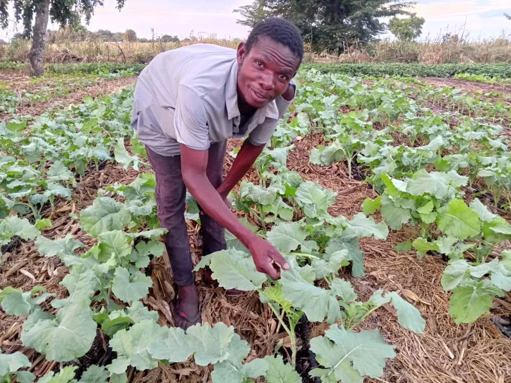 Agriculture