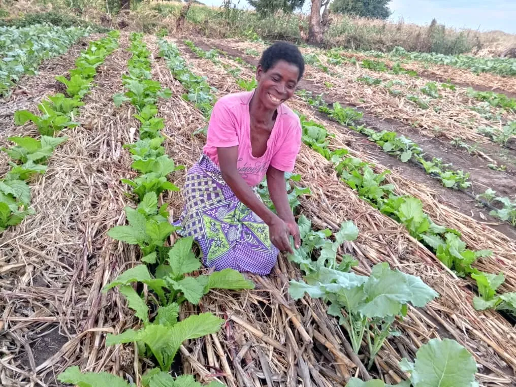 Agriculture