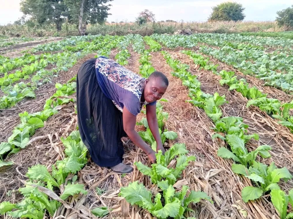 Agriculture